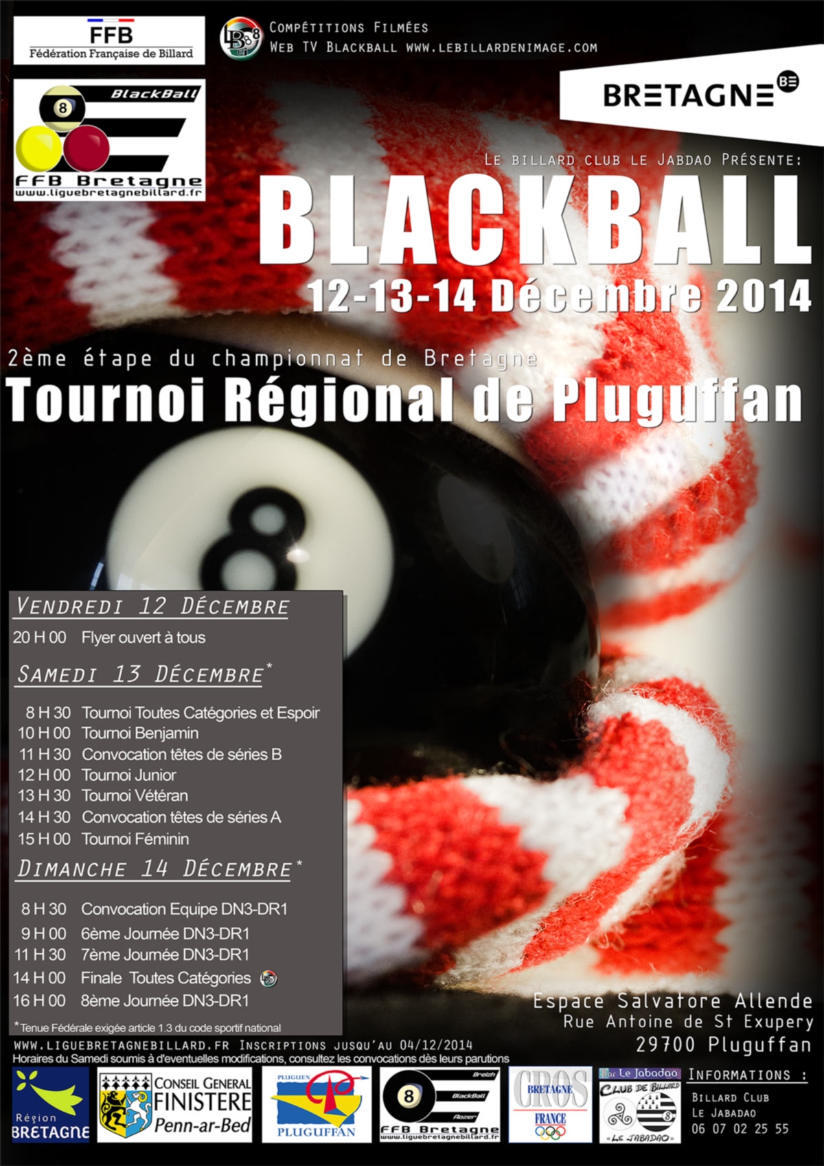 Affiche Pluguffan web